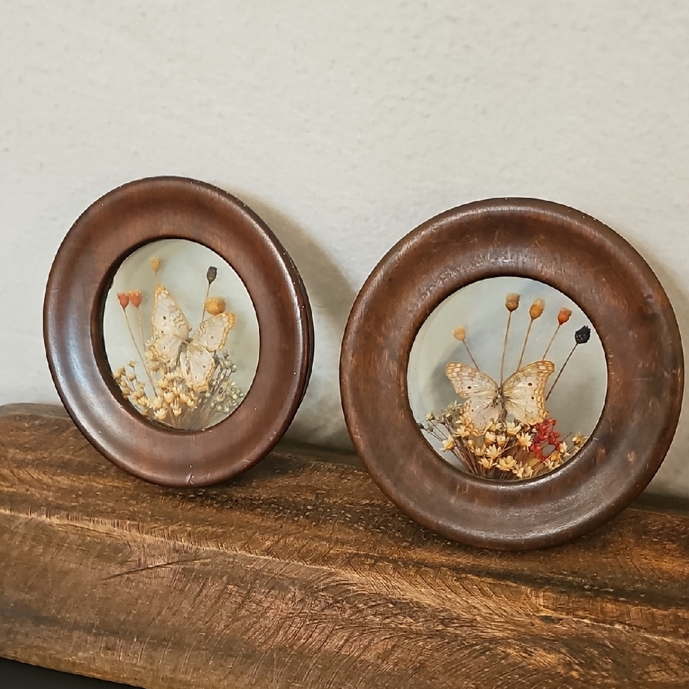 Vintage Butterfly Wall Art Set